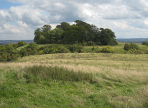 Area 11 Greenhill and Thule Downlands Historic North Wessex Downs